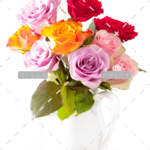 demo-attachment-147-beautiful-colorful-rose-flowers-bouquet-in-vase-PVMA7LL-e1585206469445